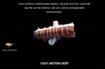 The Deep Sea