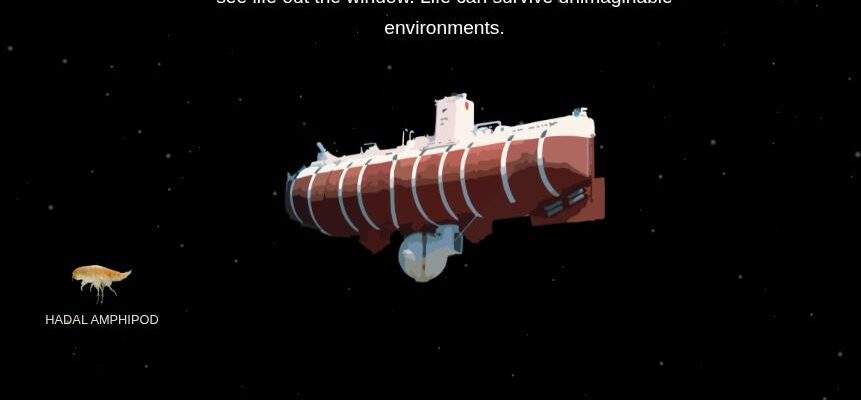The Deep Sea