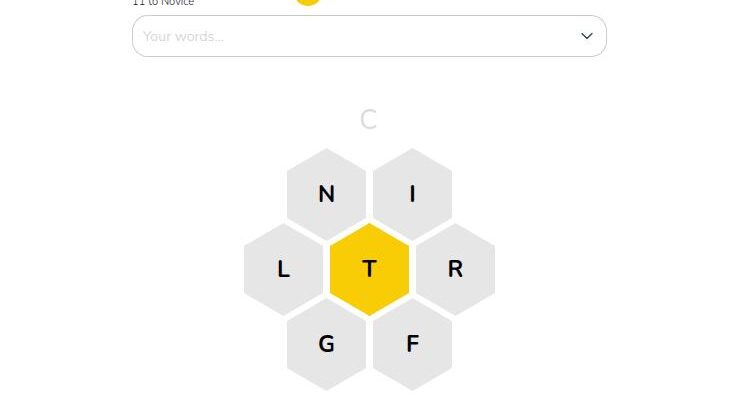 Spelling Bee Unlimited